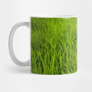 SCENERY 95 - Green Grass Field Outdoor Land Lawn Mug